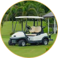 alquiler de carrito de golf